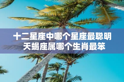 十二星座中哪个星座最聪明 天蝎座属哪个生肖最笨