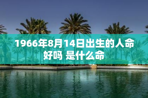 1966年8月14日出生的人命好吗 是什么命