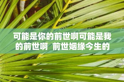 可能是你的前世啊可能是我的前世啊 前世姻缘今生的爱