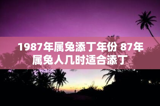 1987年属兔添丁年份 87年属兔人几时适合添丁