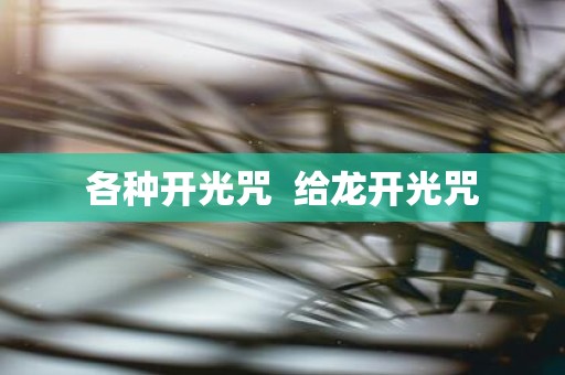 各种开光咒 给龙开光咒