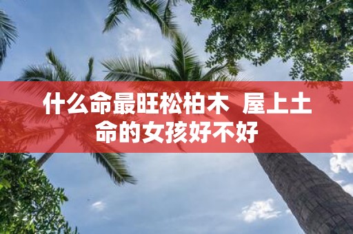 什么命最旺松柏木 屋上土命的女孩好不好