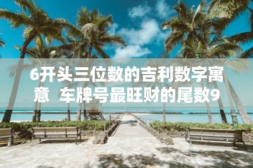 6开头三位数的吉利数字寓意 车牌号最旺财的尾数9