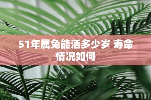 51年属兔能活多少岁 寿命情况如何