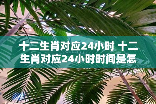 十二生肖对应24小时 十二生肖对应24小时时间是怎样的