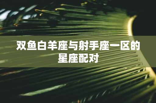 双鱼白羊座与射手座一区的星座配对