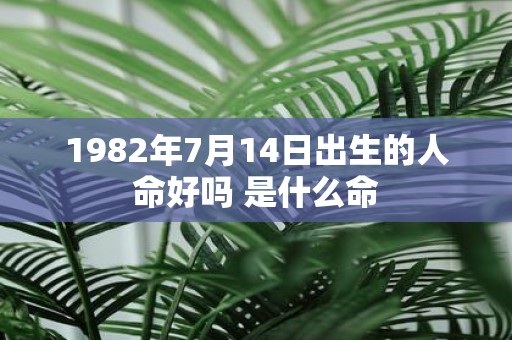 1982年7月14日出生的人命好吗 是什么命