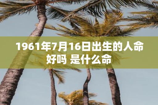 1961年7月16日出生的人命好吗 是什么命
