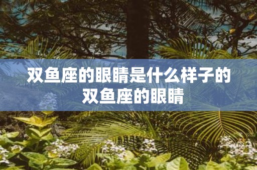 双鱼座的眼睛是什么样子的  双鱼座的眼睛