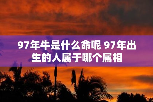 97年牛是什么命呢 97年出生的人属于哪个属相