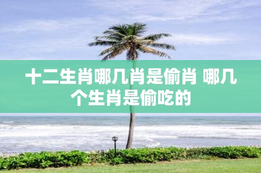 十二生肖哪几肖是偷肖 哪几个生肖是偷吃的
