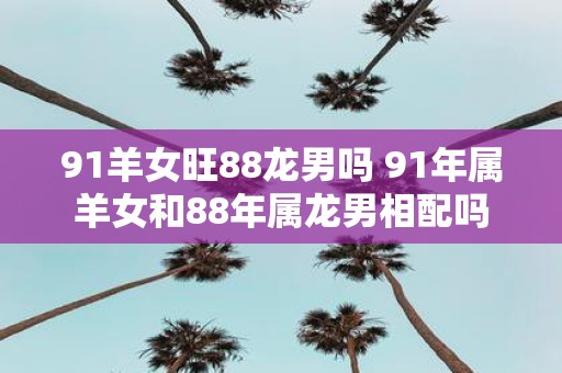 91羊女旺88龙男吗 91年属羊女和88年属龙男相配吗