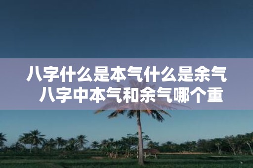 八字什么是本气什么是余气 八字中本气和余气哪个重要
