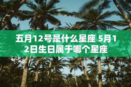 五月12号是什么星座 5月12日生日属于哪个星座