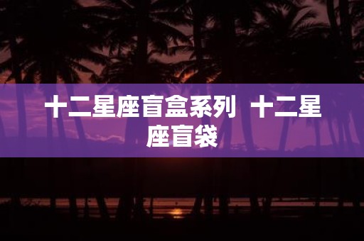 十二星座盲盒系列 十二星座盲袋