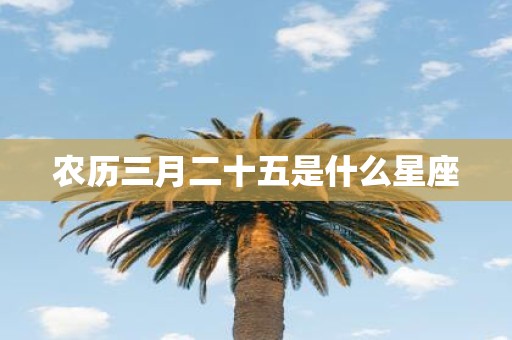 农历三月二十五是什么星座