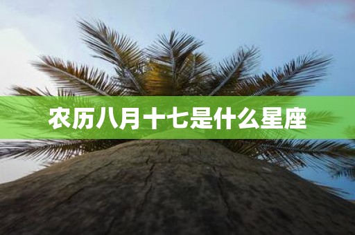 农历八月十七是什么星座