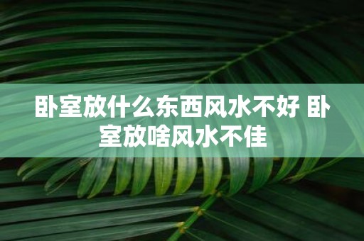 卧室放什么东西风水不好 卧室放啥风水不佳