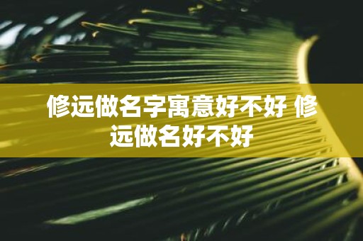 修远做名字寓意好不好 修远做名好不好