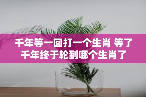 千年等一回打一个生肖 等了千年终于轮到哪个生肖了