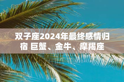 双子座2025年最终感情归宿 巨蟹、金牛、摩羯座