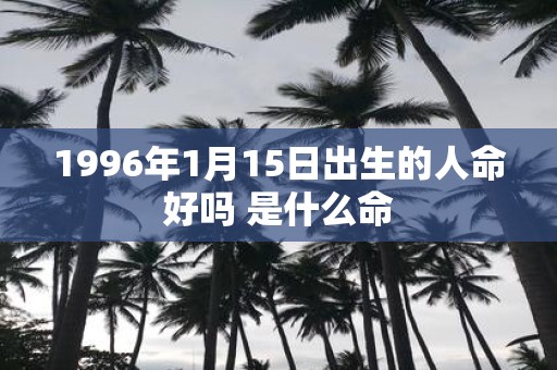 1996年1月15日出生的人命好吗 是什么命