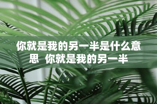 你就是我的另一半是什么意思 你就是我的另一半