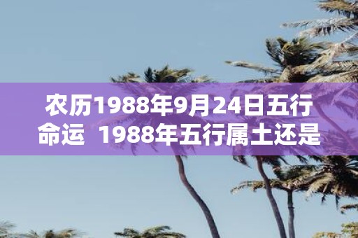 农历1988年9月24日五行命运 1988年五行属土还是木