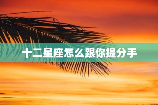 十二星座怎么跟你提分手