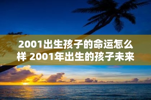 2001出生孩子的命运怎么样 2001年出生的孩子未来如何