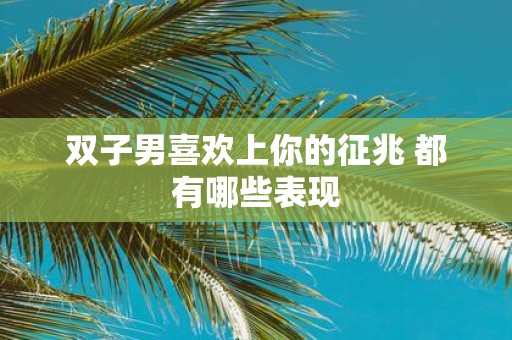 双子男喜欢上你的征兆 都有哪些表现