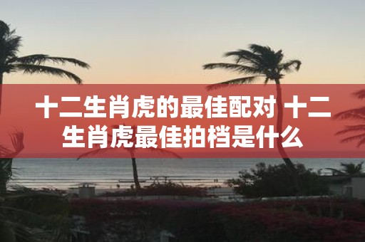 十二生肖虎的最佳配对 十二生肖虎最佳拍档是什么
