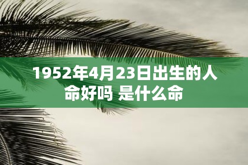 1952年4月23日出生的人命好吗 是什么命