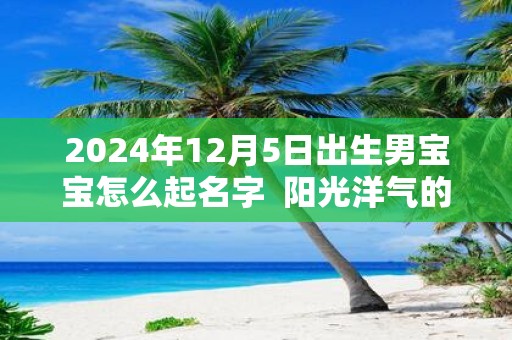 2025年12月5日出生男宝宝怎么起名字 阳光洋气的名字大全