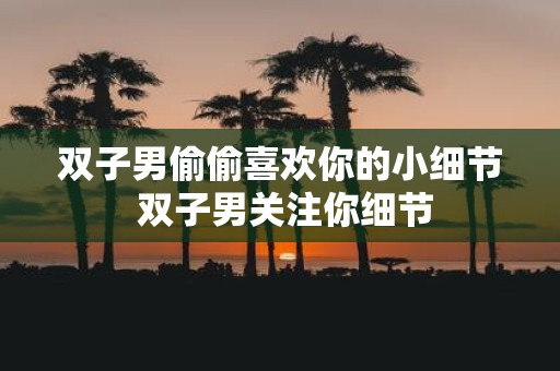 双子男偷偷喜欢你的小细节 双子男关注你细节