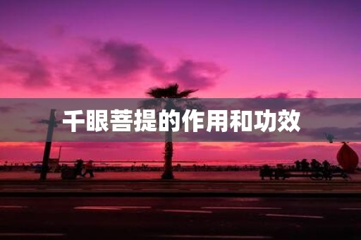 千眼菩提的作用和功效