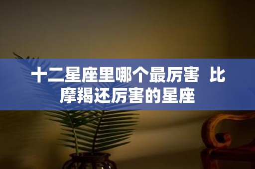 十二星座里哪个最厉害 比摩羯还厉害的星座