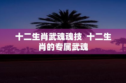 十二生肖武魂魂技 十二生肖的专属武魂