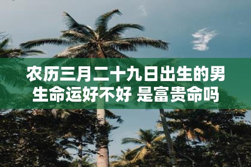 农历三月二十九日出生的男生命运好不好 是富贵命吗