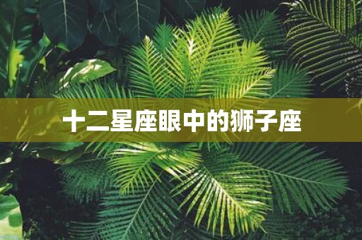 十二星座眼中的狮子座