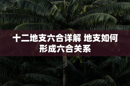 十二地支六合详解 地支如何形成六合关系