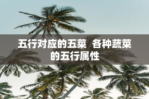 五行对应的五菜 各种蔬菜的五行属性