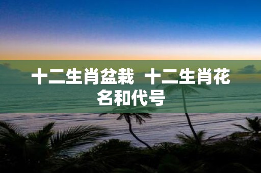 十二生肖盆栽 十二生肖花名和代号