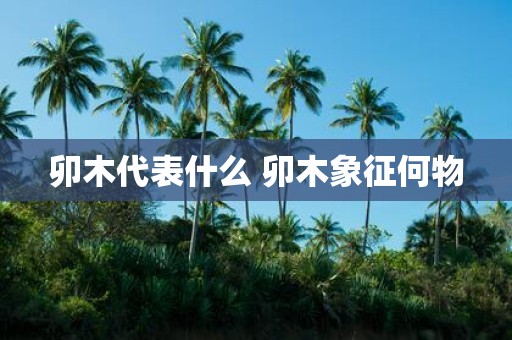 卯木代表什么 卯木象征何物