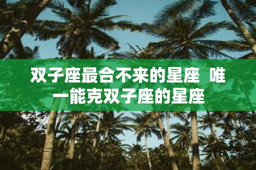 双子座最合不来的星座 唯一能克双子座的星座