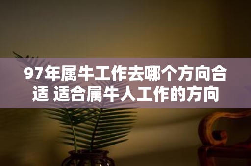 97年属牛工作去哪个方向合适 适合属牛人工作的方向