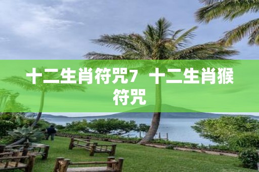 十二生肖符咒7 十二生肖猴符咒