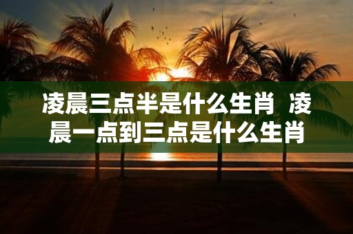 凌晨三点半是什么生肖 凌晨一点到三点是什么生肖