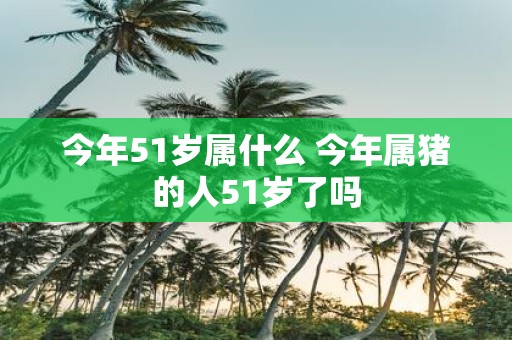 今年51岁属什么 今年属猪的人51岁了吗