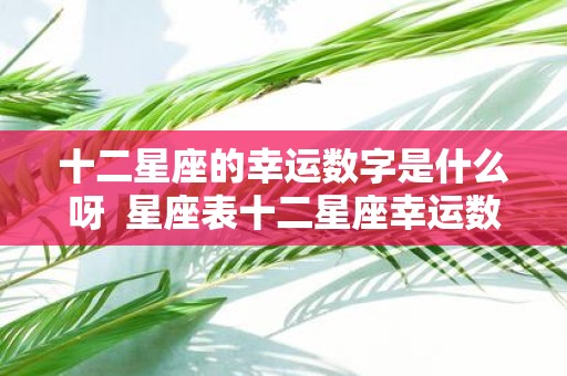 十二星座的幸运数字是什么呀 星座表十二星座幸运数字